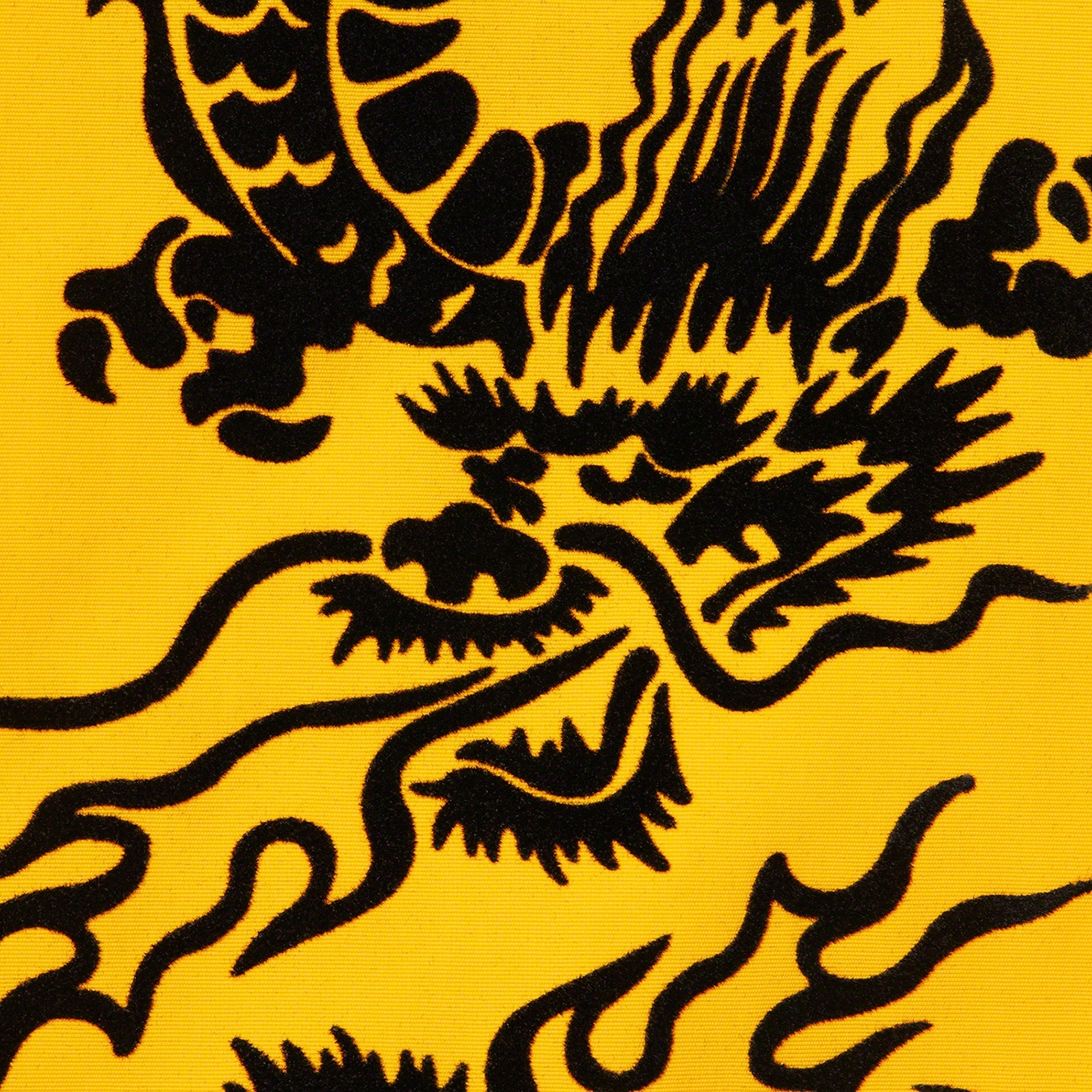 Dragon Track Jacket view 21